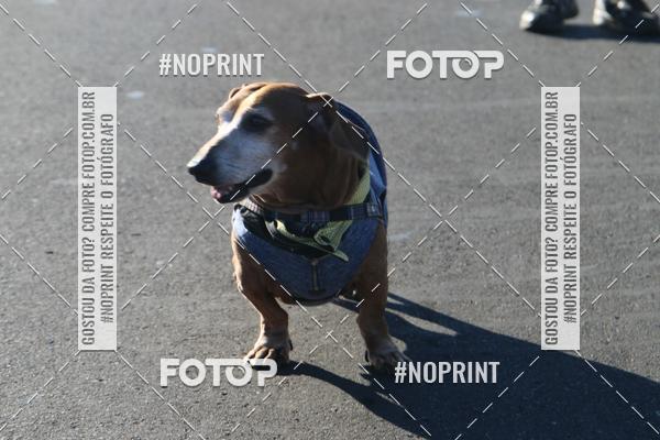 Buy your photos of the event49 CORRIDA DE REIS DO DISTRITO FEDERAL on Fotop