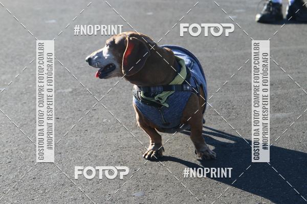 Buy your photos of the event49 CORRIDA DE REIS DO DISTRITO FEDERAL on Fotop