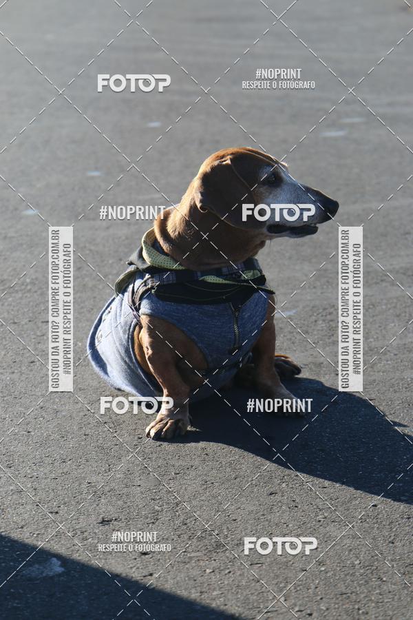 Buy your photos of the event49 CORRIDA DE REIS DO DISTRITO FEDERAL on Fotop