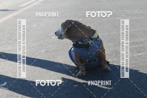 Buy your photos of the event49 CORRIDA DE REIS DO DISTRITO FEDERAL on Fotop