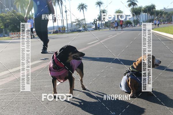 Buy your photos of the event49 CORRIDA DE REIS DO DISTRITO FEDERAL on Fotop