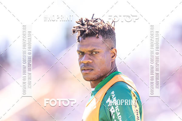 Buy your photos of the eventFRANCANA X CATANDUVENSE on Fotop