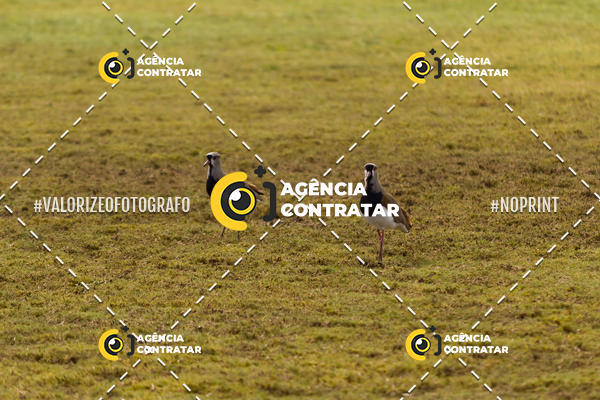 Buy your photos of the eventGrmio CEFA 3 Rodada - Gaucho Conveniadas Grmio on Fotop