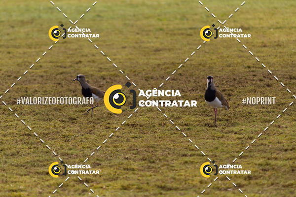 Buy your photos of the eventGrmio CEFA 3 Rodada - Gaucho Conveniadas Grmio on Fotop