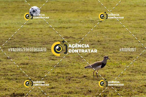 Buy your photos of the eventGrmio CEFA 3 Rodada - Gaucho Conveniadas Grmio on Fotop