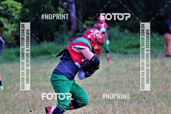 Buy your photos of the eventPortuguesa fa x Palmeiras locomotives  on Fotop