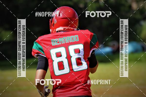 Buy your photos of the eventPortuguesa fa x Palmeiras locomotives  on Fotop