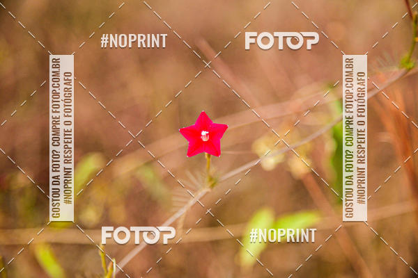 Buy your photos of the eventDesafio Brutality on Fotop