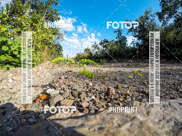 Buy your photos of the eventDesafio Brutality on Fotop