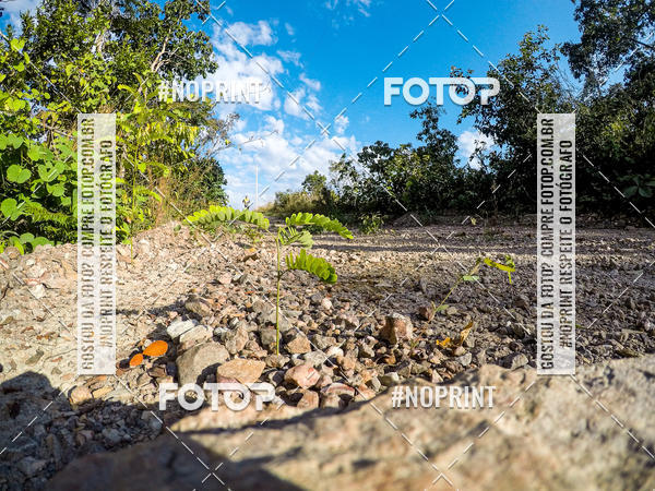 Buy your photos of the eventDesafio Brutality on Fotop