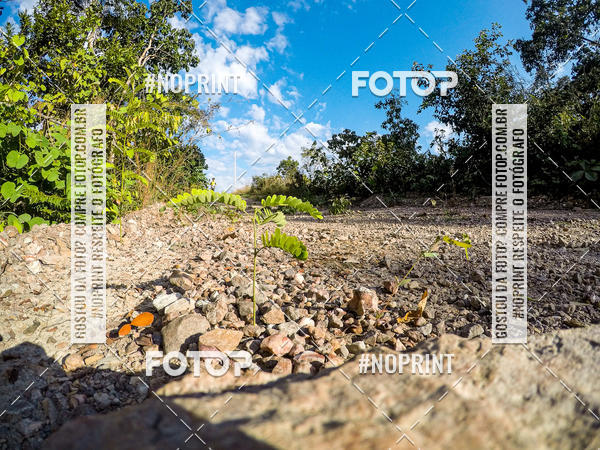 Acquista le foto dell'eventoDesafio Brutality in Fotop