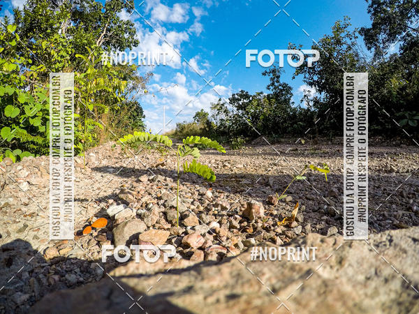 Buy your photos of the eventDesafio Brutality on Fotop