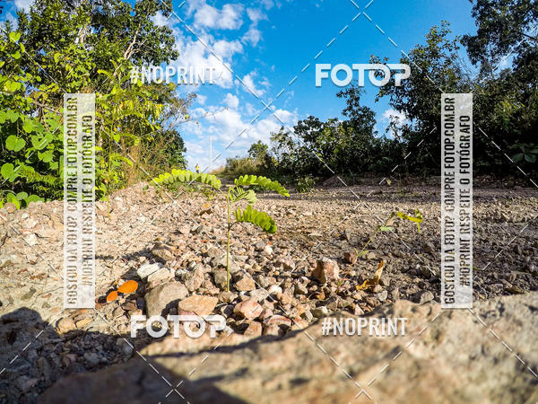 Buy your photos of the eventDesafio Brutality on Fotop