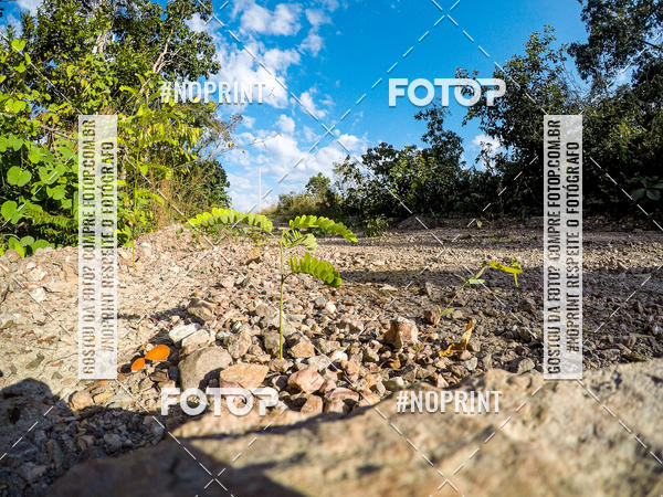 Buy your photos of the eventDesafio Brutality on Fotop