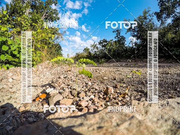 Buy your photos of the eventDesafio Brutality on Fotop