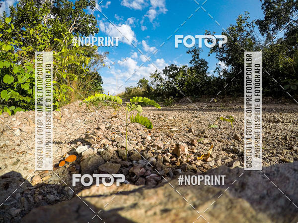 Buy your photos of the eventDesafio Brutality on Fotop