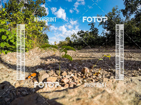 Buy your photos of the eventDesafio Brutality on Fotop