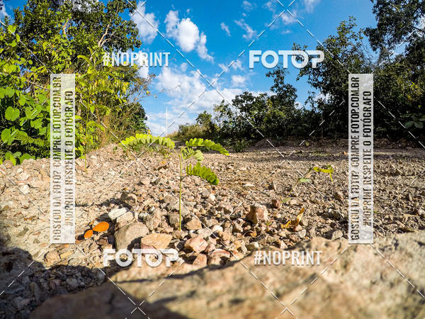 Buy your photos of the eventDesafio Brutality on Fotop