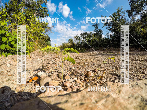 Buy your photos of the eventDesafio Brutality on Fotop