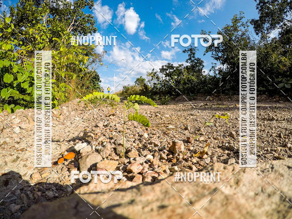 Buy your photos of the eventDesafio Brutality on Fotop