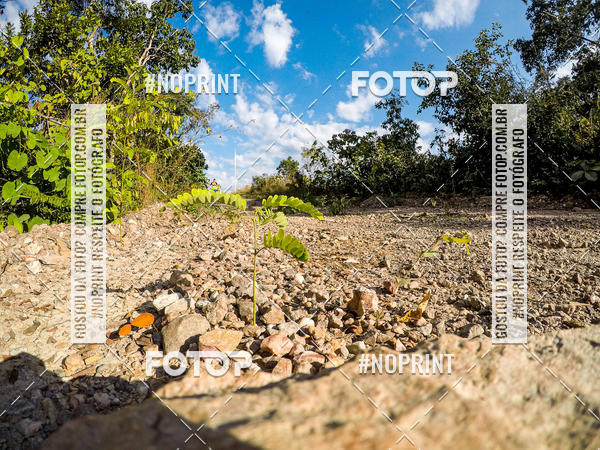 Buy your photos of the eventDesafio Brutality on Fotop