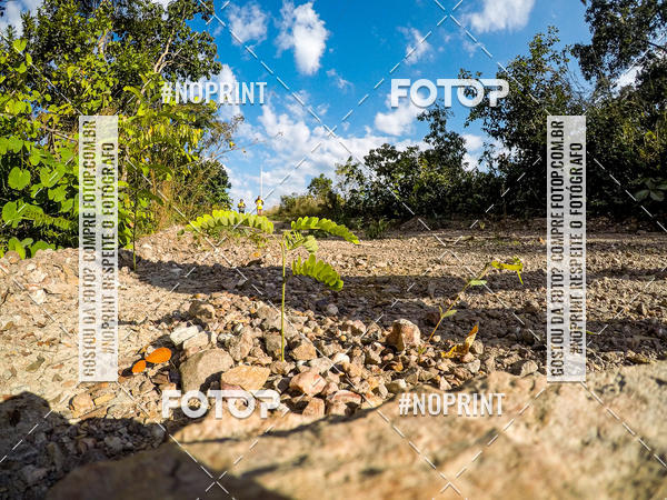 Buy your photos of the eventDesafio Brutality on Fotop