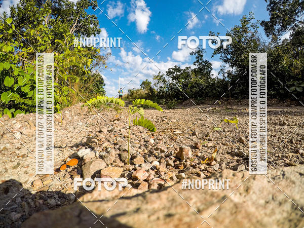 Buy your photos of the eventDesafio Brutality on Fotop