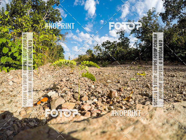 Buy your photos of the eventDesafio Brutality on Fotop