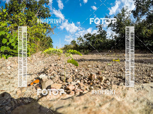 Buy your photos of the eventDesafio Brutality on Fotop