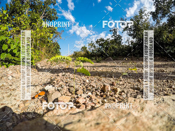 Buy your photos of the eventDesafio Brutality on Fotop