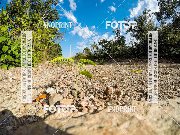 Buy your photos of the eventDesafio Brutality on Fotop