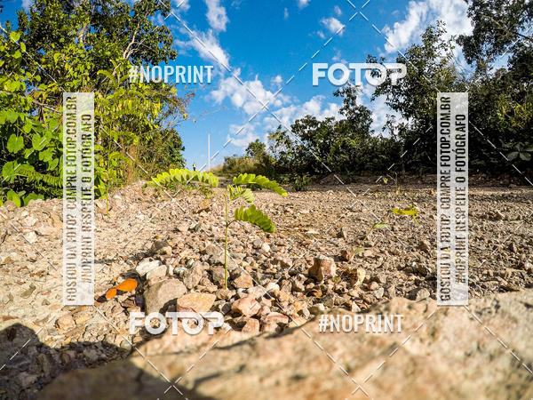 Buy your photos of the eventDesafio Brutality on Fotop