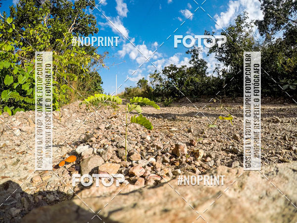 Buy your photos of the eventDesafio Brutality on Fotop