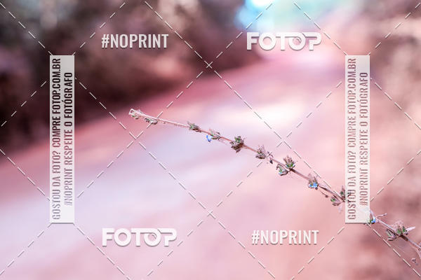 Buy your photos of the eventDesafio Brutality on Fotop