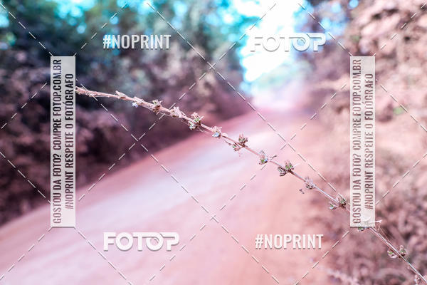 Buy your photos of the eventDesafio Brutality on Fotop