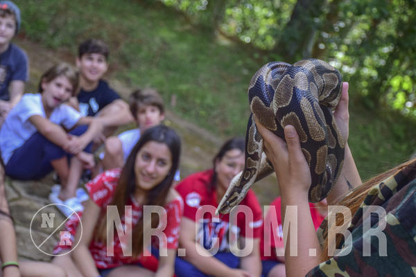 Buy your photos of the eventNR1 - English & Action -  29 a 31/05/19 on Fotop