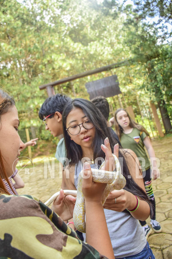 Buy your photos of the eventNR1 - English & Action -  29 a 31/05/19 on Fotop