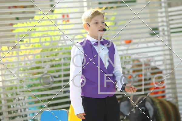 Buy your photos of the eventTots & Teens June 2019 Presentation on Fotop