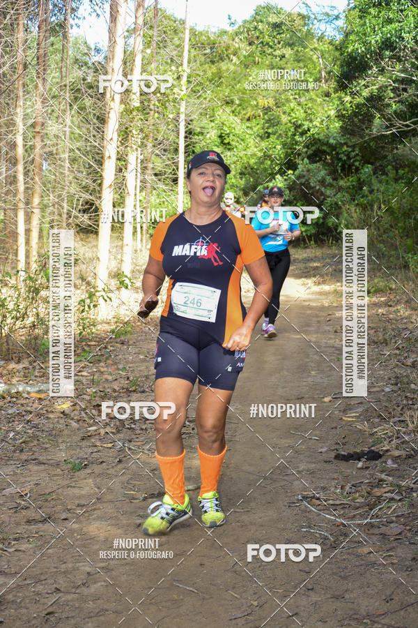 Buy your photos of the eventII Trail Run Mar do Norte on Fotop