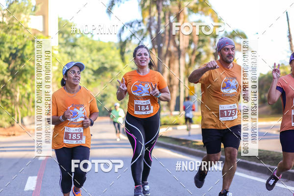 Buy your photos of the eventMEIA MARATONA 21K ALPHA RUN on Fotop