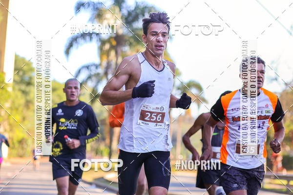 Buy your photos of the eventMEIA MARATONA 21K ALPHA RUN on Fotop