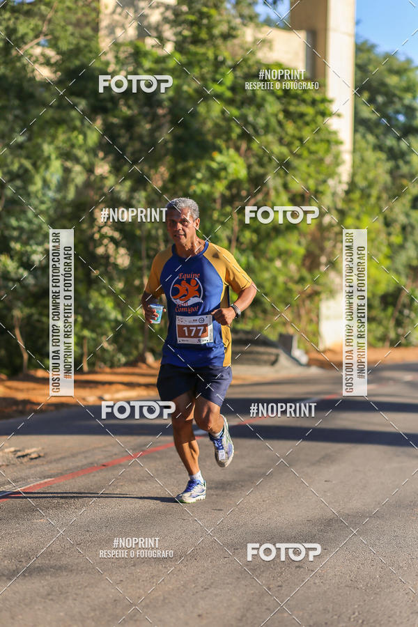 Acquista le foto dell'eventoMEIA MARATONA 21K ALPHA RUN in Fotop