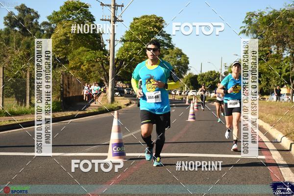 Buy your photos of the eventMEIA MARATONA DE UBERABA on Fotop