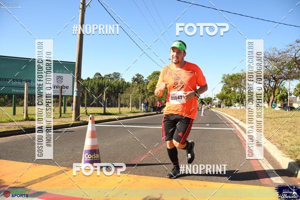 Buy your photos of the eventMEIA MARATONA DE UBERABA on Fotop