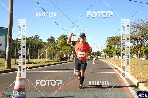 Buy your photos of the eventMEIA MARATONA DE UBERABA on Fotop