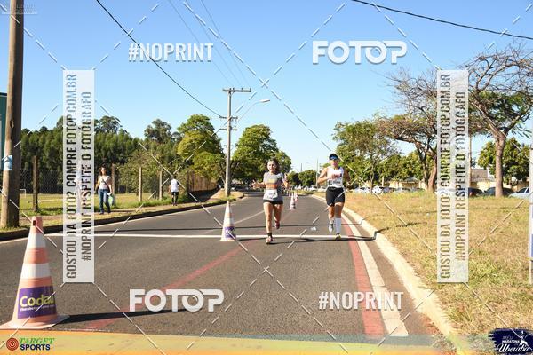 Buy your photos of the eventMEIA MARATONA DE UBERABA on Fotop