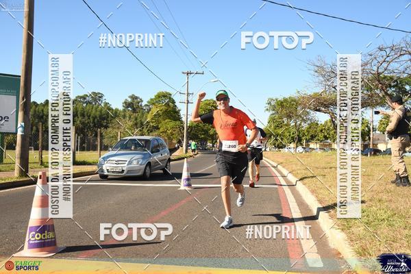 Buy your photos of the eventMEIA MARATONA DE UBERABA on Fotop