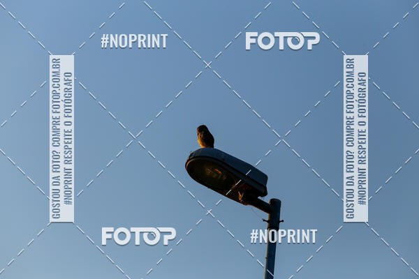 Buy your photos of the eventBLUE SERIES TRIATHLON INDAIATUBA 2019 on Fotop