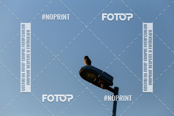 Buy your photos of the eventBLUE SERIES TRIATHLON INDAIATUBA 2019 on Fotop