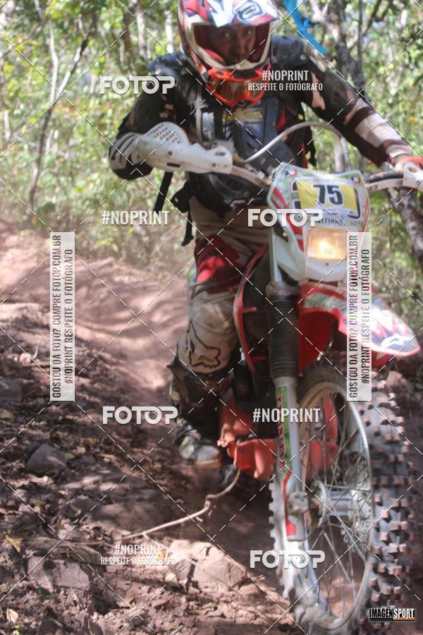 Buy your photos of the eventTrilho Roias do Cerrado on Fotop